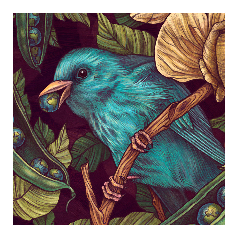 Bluebird Wooden Jigsaw Puzzle - aimpuzzle