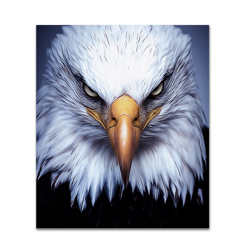 Eagle Face Wooden Jigsaw Puzzle - aimpuzzle