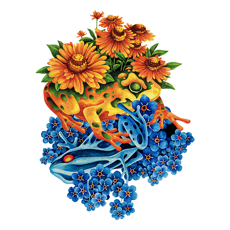 Poison Dart Frogs Wooden Jigsaw Puzzle - aimpuzzle