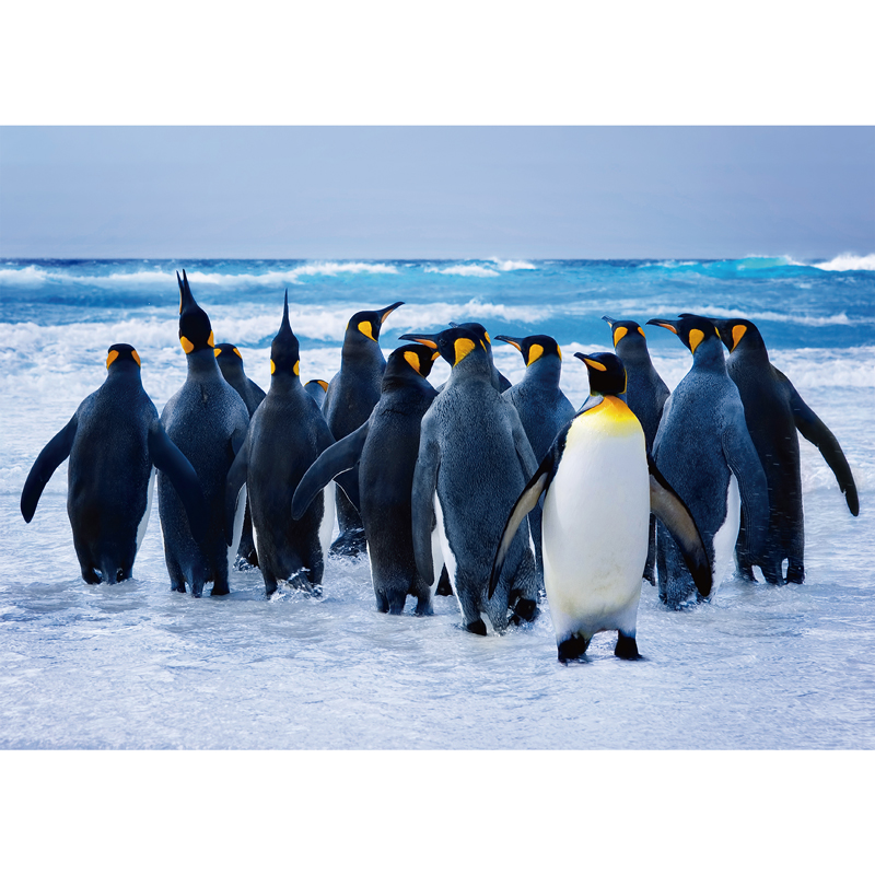 Antarctic Penguins Wooden Jigsaw Puzzle - aimpuzzle
