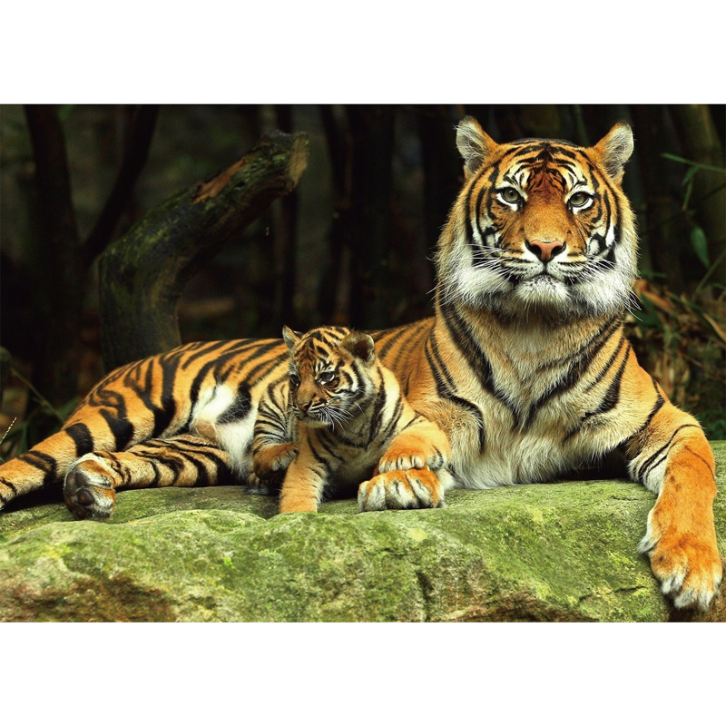 Tiger and Baby Wooden Jigsaw Puzzle - aimpuzzle