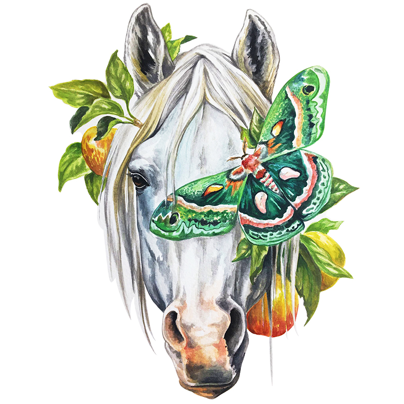 White Horse Wooden Jigsaw Puzzle - aimpuzzle