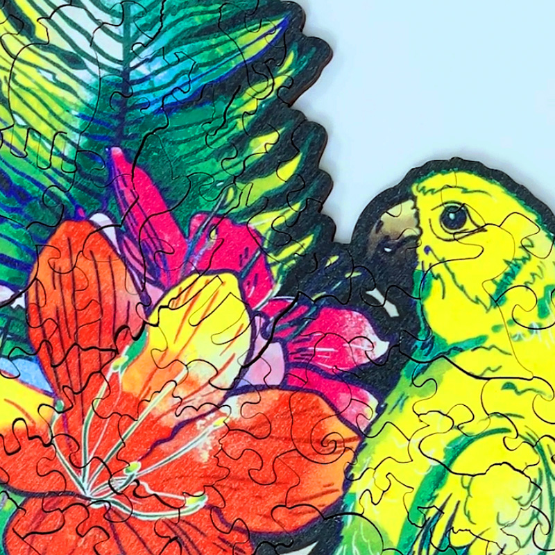 Parrot Wooden Jigsaw Puzzle - aimpuzzle