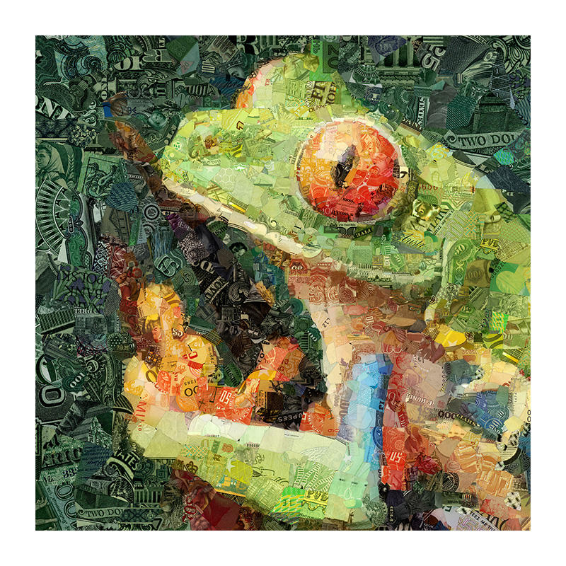 Money Frog Wooden Jigsaw Puzzle - aimpuzzle