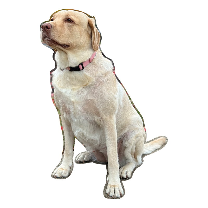 Personalized Memorable Picture Wooden Jigsaw Puzzles - aimpuzzle