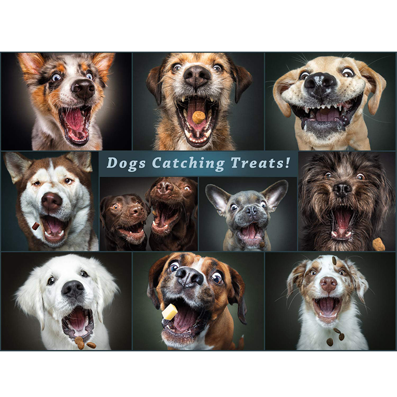 Funny Dog Face Wooden Jigsaw Puzzle - aimpuzzle