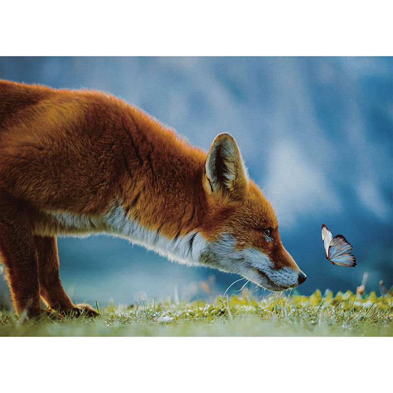 Fox Disc Wooden Jigsaw Puzzle - aimpuzzle